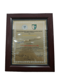 Corazon Locsin Montelibano Memorial Regional Hospital Golden Scalpel Award Frame - Department of Surgery