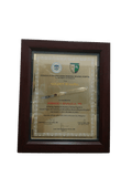 Corazon Locsin Montelibano Memorial Regional Hospital Golden Scalpel Award Frame - Department of Surgery
