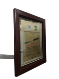 Corazon Locsin Montelibano Memorial Regional Hospital Golden Scalpel Award Frame - Department of Surgery