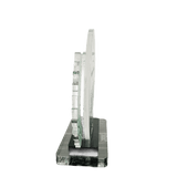 Cebu Institute of Medicine Plaque - Award of Recognition