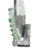 Cebu Institute of Medicine Plaque - Award of Recognition