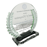 Cebu Institute of Medicine Plaque - Award of Recognition