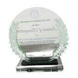 Cebu Institute of Medicine Plaque - Award of Recognition