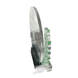 Cebu Institute of Medicine Plaque - Award of Recognition