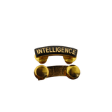 Intelligence Tab