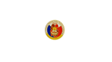 Public Officers Candidate Course (POCC) Pin