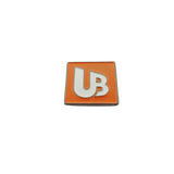 Union Bank Pin