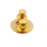 Silliman University College of Nursing Pin