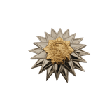 Bureau of Corrections OSEC Pin