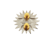 Bureau of Corrections OSEC Pin
