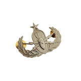 Senior EOD Bombsquad Pin