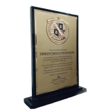 Healthcare Hero Plaque