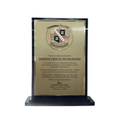 Healthcare Hero Plaque