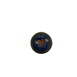 National Forensic Science Training Institute (NFSTI) Pin