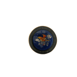 National Forensic Science Training Institute (NFSTI) Pin