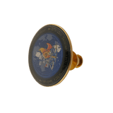 National Forensic Science Training Institute (NFSTI) Pin