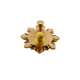 National Jail Management and Penology Training Institute Pin - JOAC