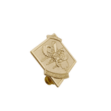 Special Action Force (SAF) Commando Pin
