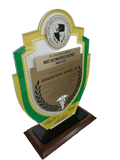 Perpetual Succour Hospital Plaque
