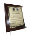 Perpetual Succour Hospital Wooden Plaque