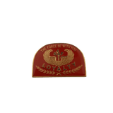Special Action Force (SAF) Loyalty Pin