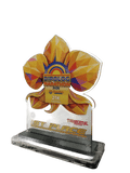 Dipolog Marathon Plaque