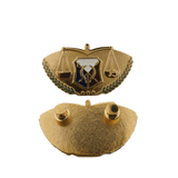 Legal Service Lawyer Pin