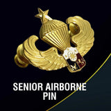 Senior Airborne Pin Gold