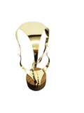 Endeavor Trophy