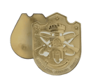 Vital Installation Security Course Pin