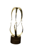 Endeavor Trophy