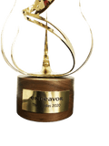 Endeavor Trophy
