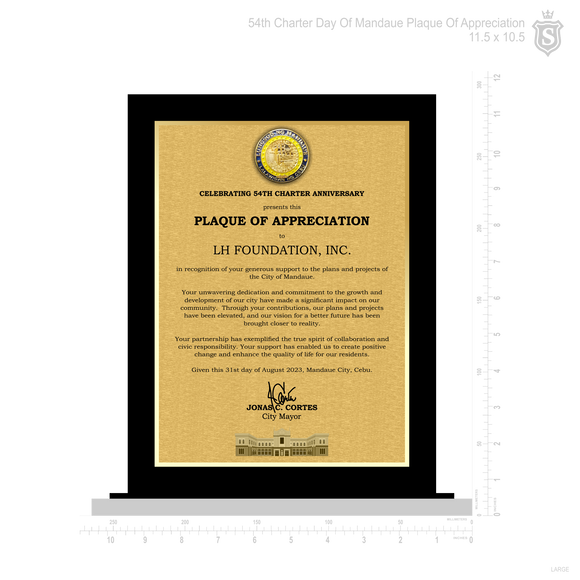 Mandaue Plaque of Appreciation