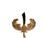 Special Action Force (SAF) Tabak Pin