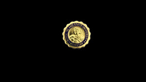 Bohol Island State University - MudwiferyPin Gold