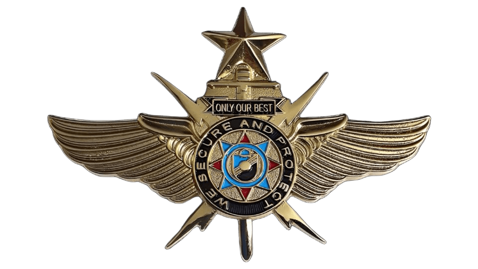 Vip Protection Pin VIP Senior Pin – Suarez Arts