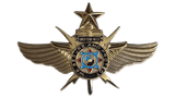 VIP Senior Pin