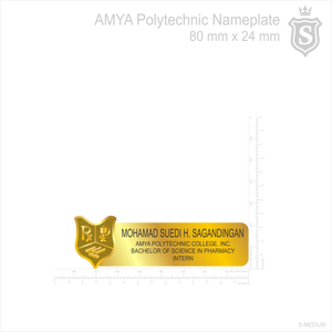 Amya Polytechnic College, Inc. Nameplate - Bachelor Of Science In Pharmacy Intern