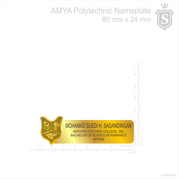 Amya Polytechnic College, Inc. Nameplate - Bachelor Of Science In Pharmacy Intern