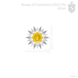 Bureau of Corrections OSEC Pin