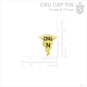 Cebu Normal University (CNU) Nursing Cap Pin
