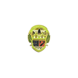 Kapanalig Pin Gold Small