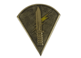 Force Recon Pin