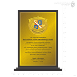 Healthcare Hero Plaque