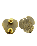 Intelligence Basic Course (IBC) Pin