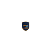 Master of  Public Administration (MPA) Pin