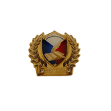 Paralegal Pin