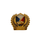 Paralegal Pin