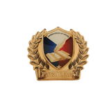Paralegal Pin