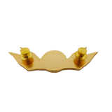 Visayas State University - DTM Wing Pin